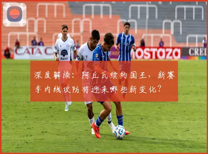 深度解读:阿丘瓦续约国王,新赛季内线攻防将迎来哪些新变化?